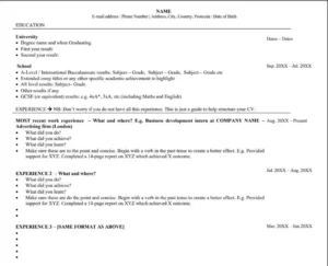 Placement CV Template - Placement Year CV Example
